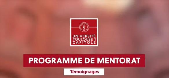 programme mentorat